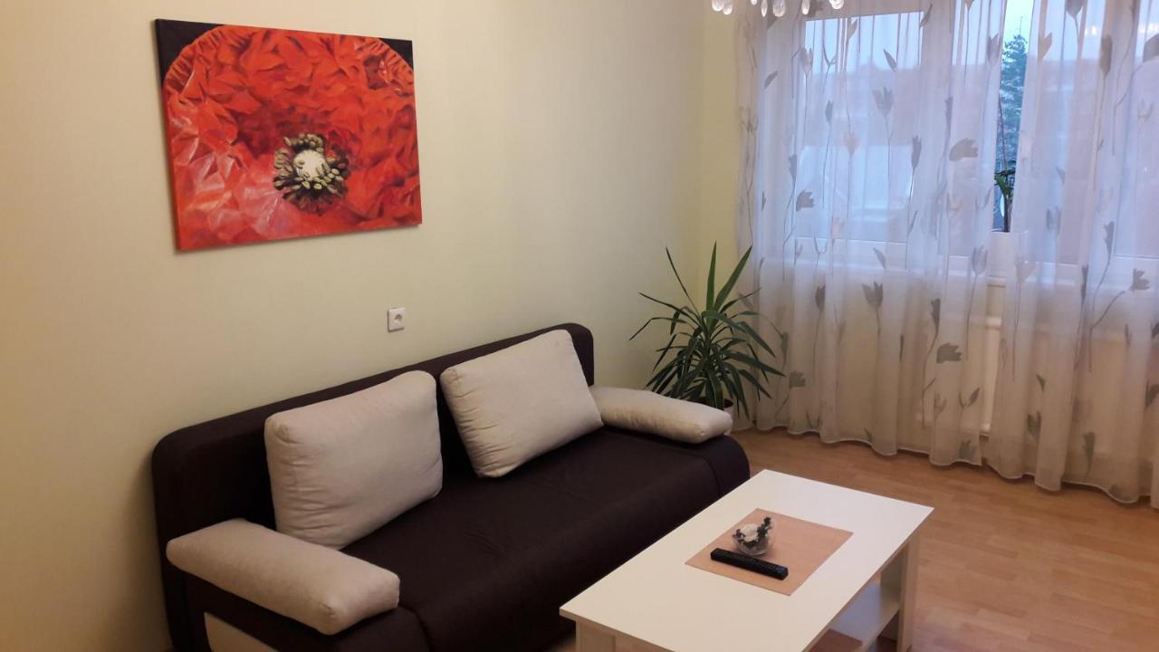 Grazinos Apartamentai Panevėžys Zewnętrze zdjęcie